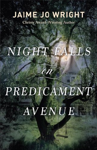 Cover of Night Falls on Predicament Avenue