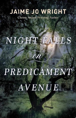 Cover of Night Falls on Predicament Avenue