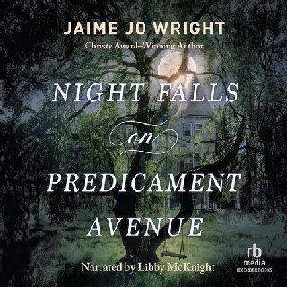Cover of Night Falls on Predicament Avenue