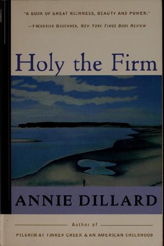 Cover of Holy the Firm