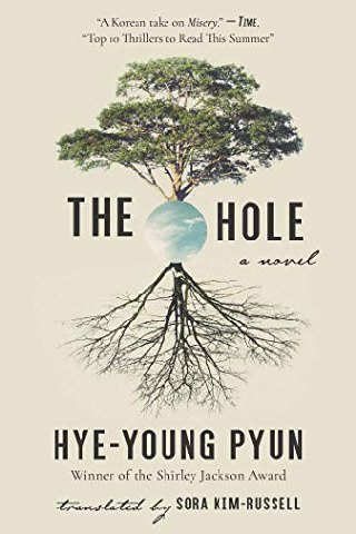 Cover of The Hole