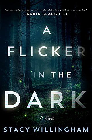 Cover of A Flicker in the Dark