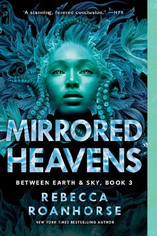 Cover of Mirrored Heavens