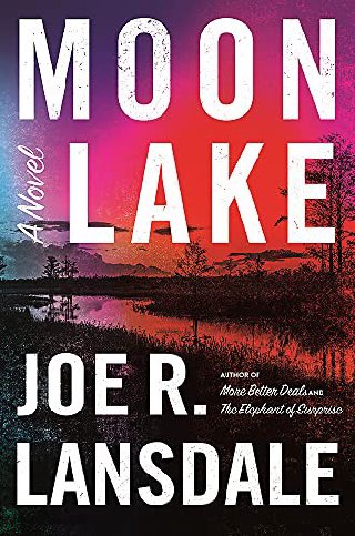 Cover of Moon Lake