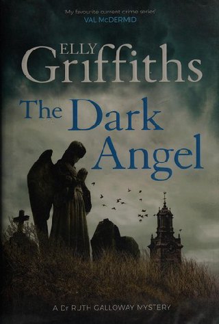 Cover of The dark angel