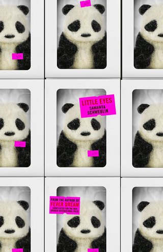 Cover of Little Eyes