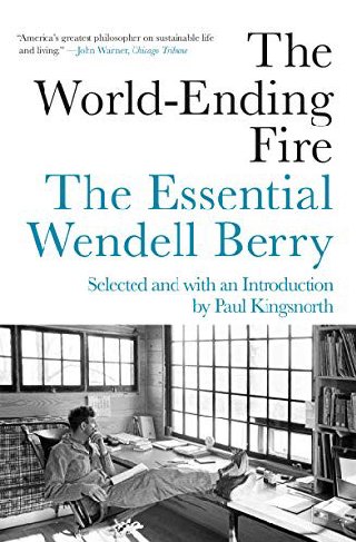 Cover of The World-Ending Fire