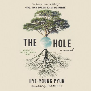 Cover of The Hole