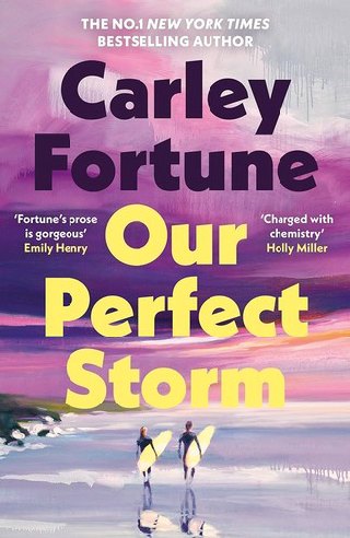 Cover of Our Perfect Storm